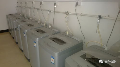 解鎖校園新凈界 如何選擇真正便捷校園生活的洗衣品牌